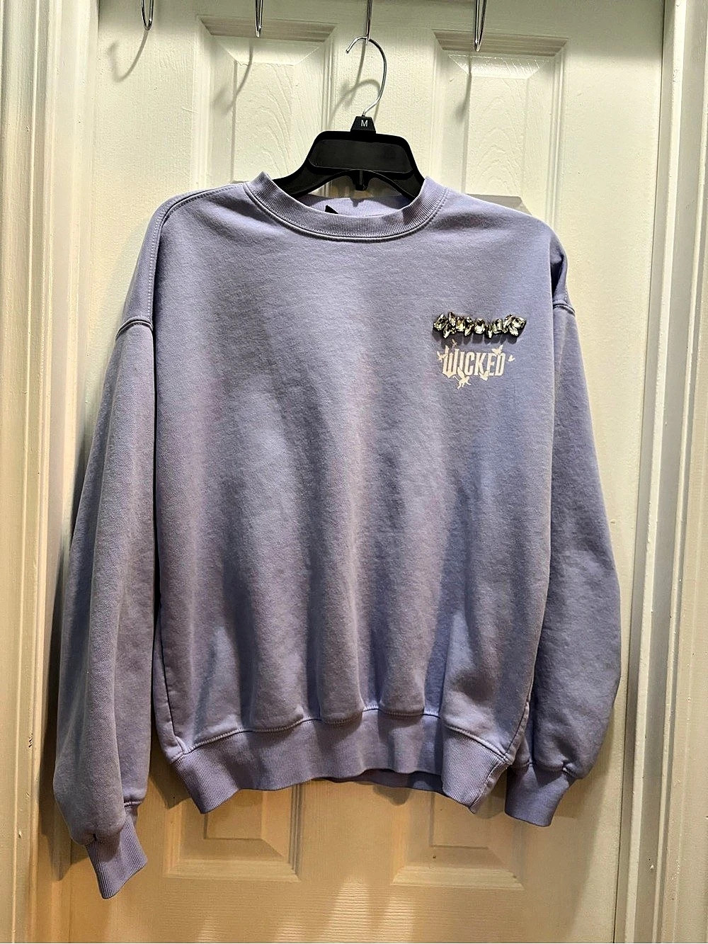 Wicked Crewneck Sweatshirt Graphic Crewneck in Purple XXS/EC/TT